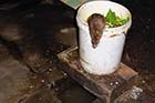 You know when you have been in Thailand too long when a rat runs through the restaurant and you pay no attention - Click for larger image