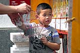 Releasing caged birds - Click for larger image