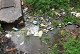 Rubbish in storm drains - Click for larger image