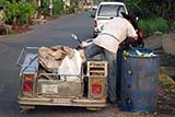 Rubbish scavenger - Click for larger image