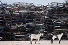 Used bicycles about to go across the river from Thailand to Burma - Click for larger image