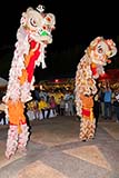 Chinese vegetarian festival lion dancers - Click for larger image