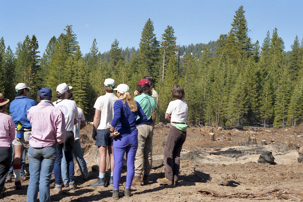 Tree planting expedition in Sequoia National Park