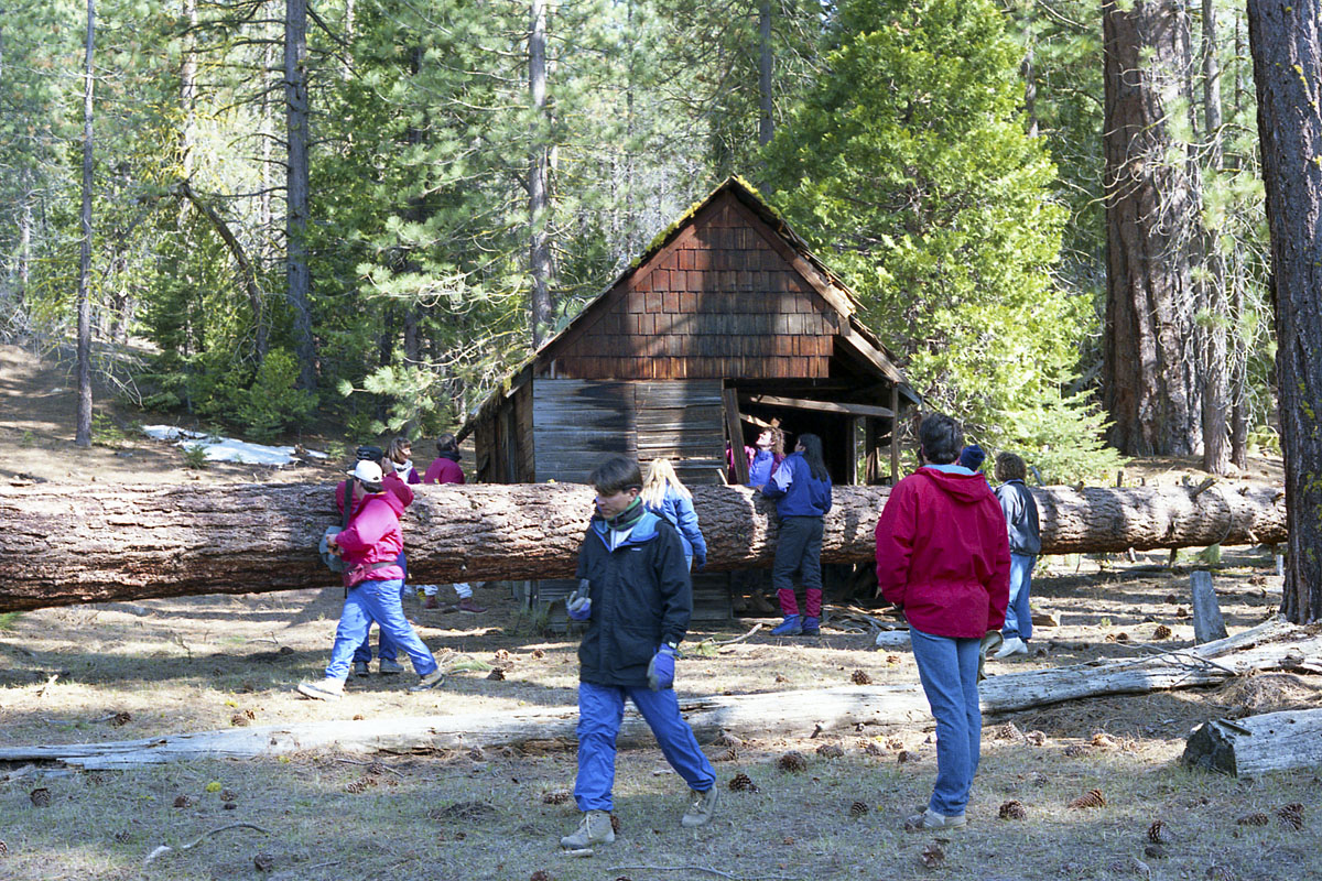 Tree planting expedition in Sequoia National Park