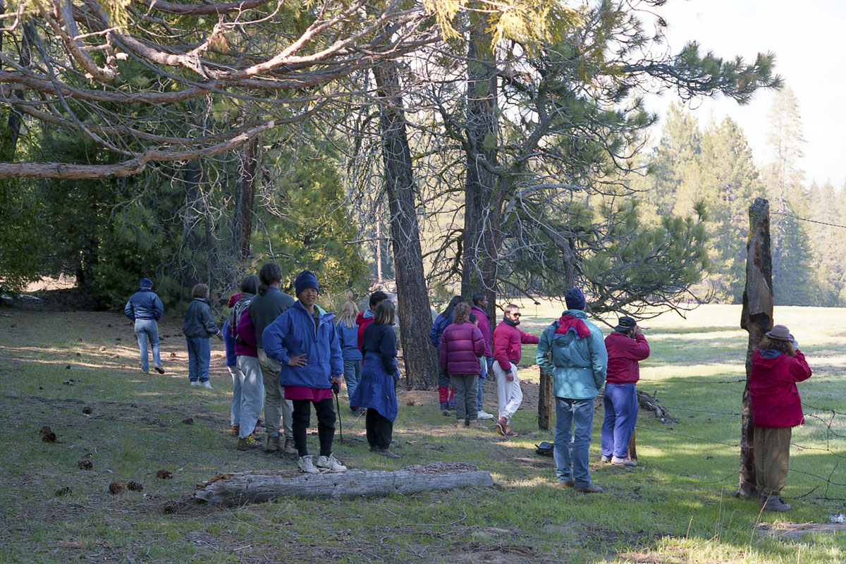 Tree planting expedition in Sequoia National Park