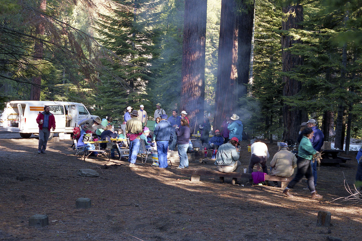 Tree planting expedition in Sequoia National Park