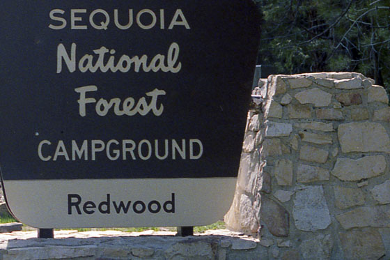 Sequoia National Park