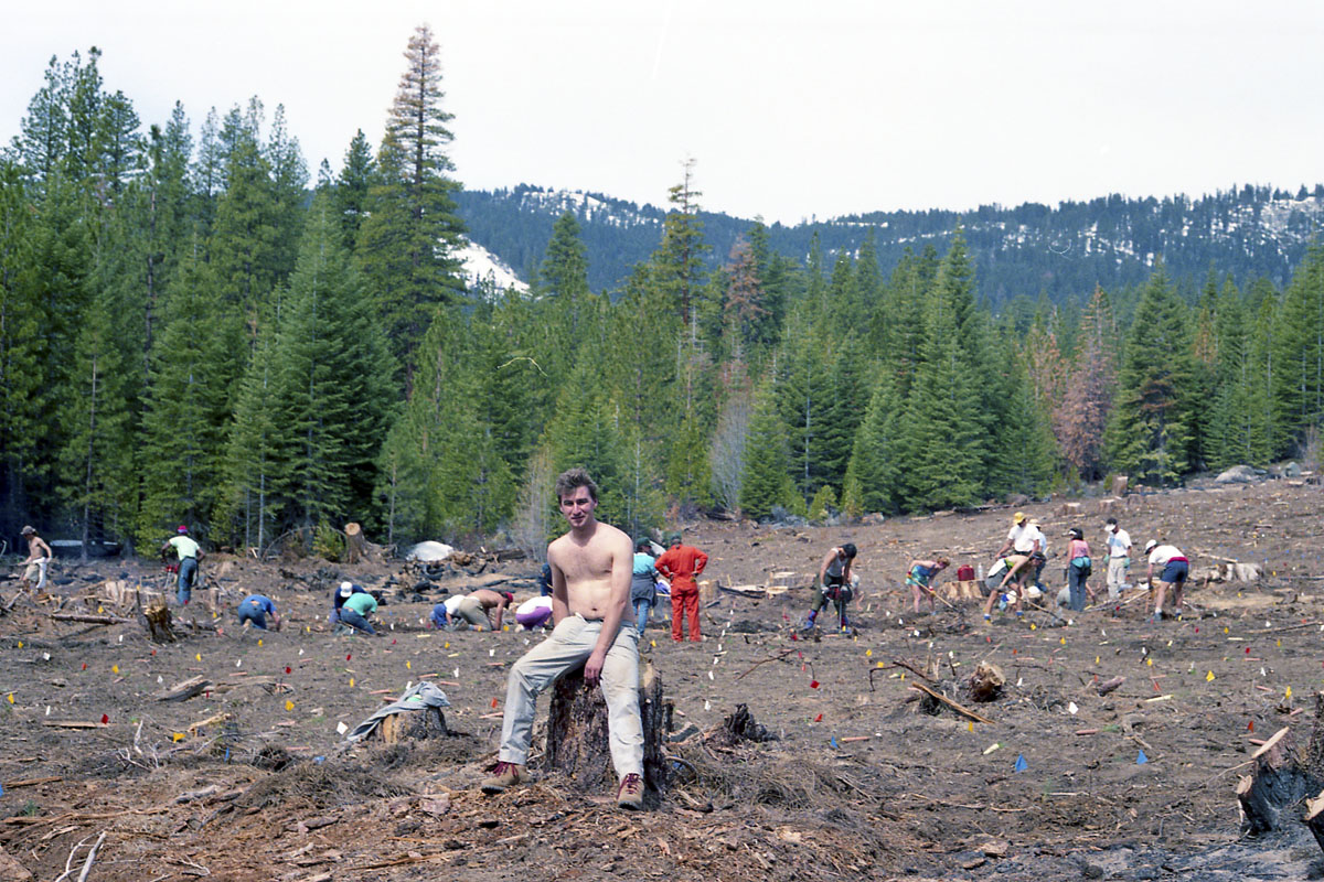 Tree planting expedition in Sequoia National Park