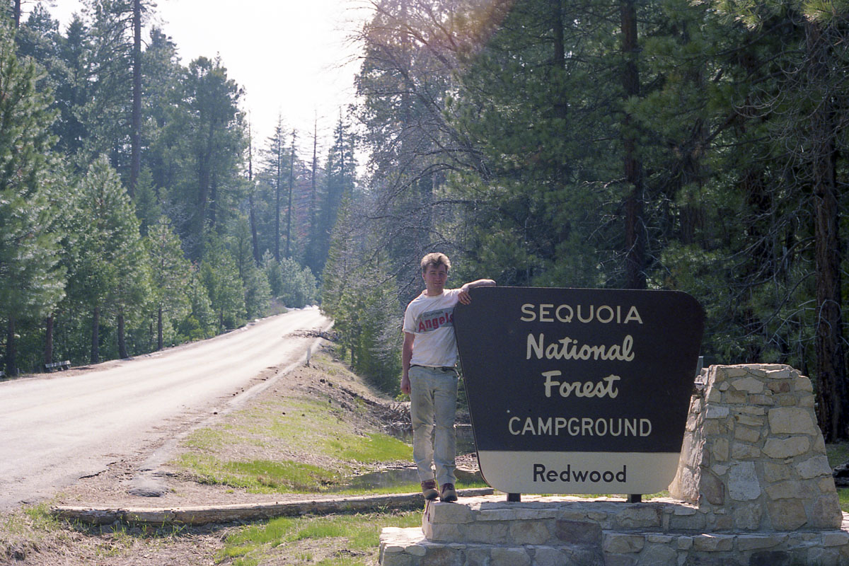 Tree planting expedition in Sequoia National Park
