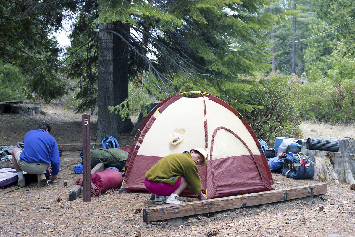 Tree planting expedition in Sequoia National Park